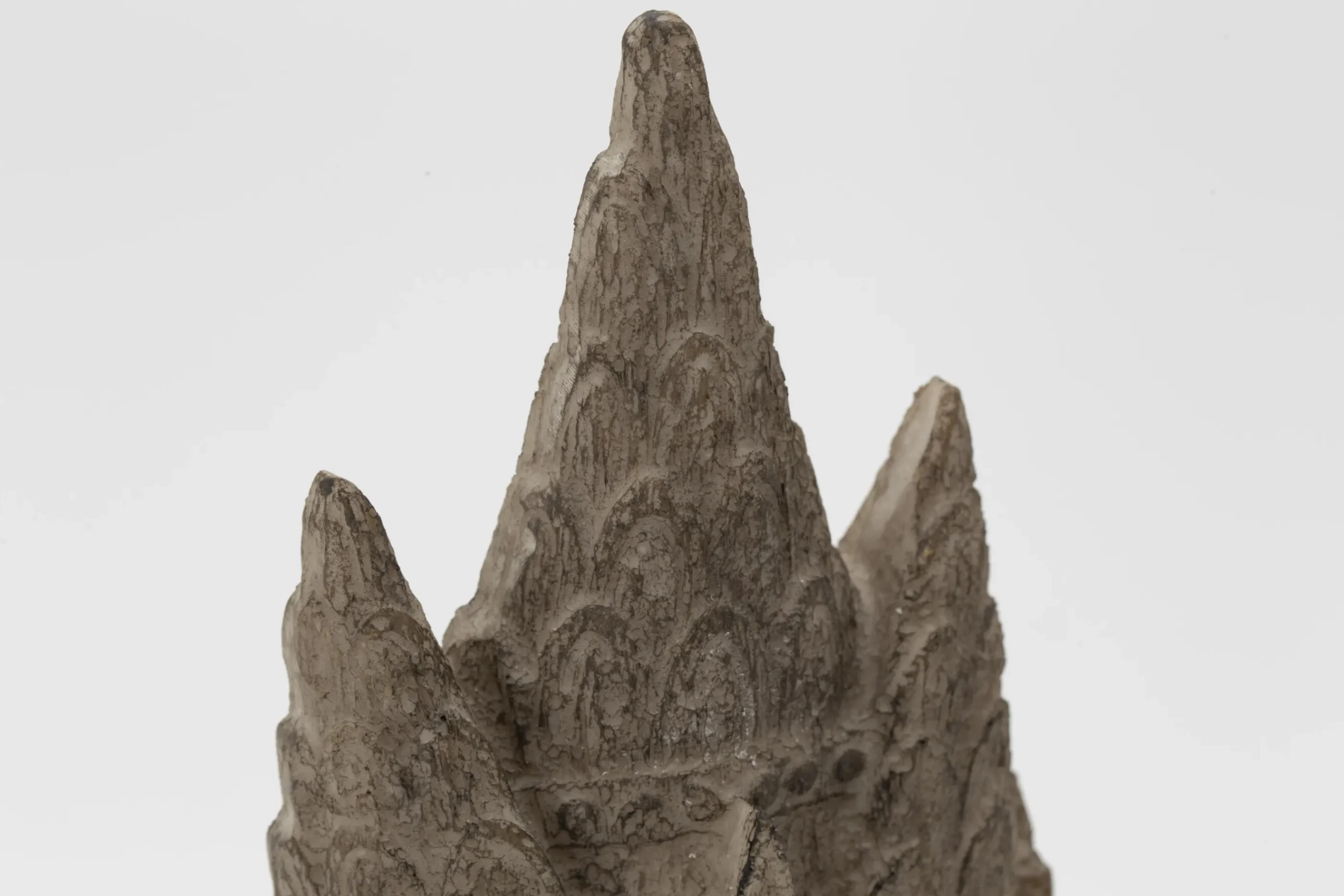 Flamant Saras, Hoofd