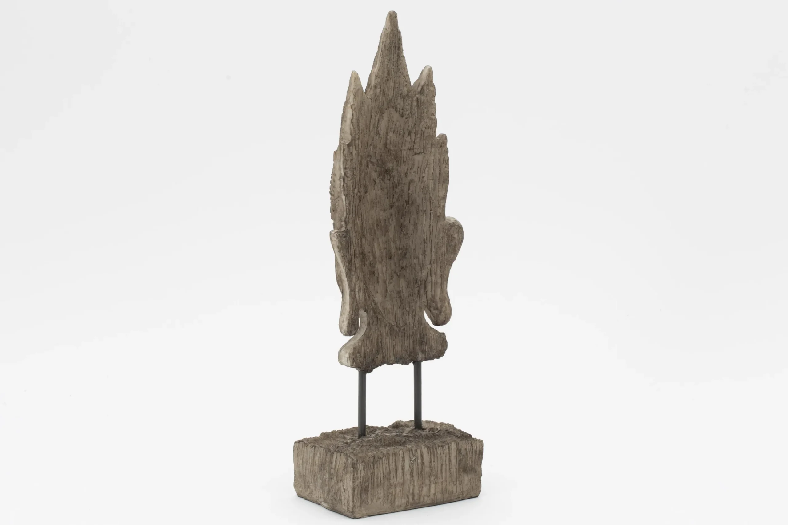 Flamant Saras, Hoofd