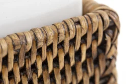 Flamant Togo, Handpomp, Riet