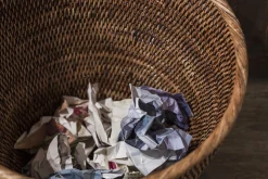 Flamant Togo, Papierbak, Riet