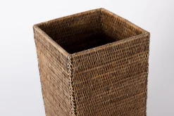 Flamant Togo, Paraplubak, Riet