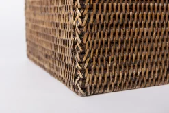 Flamant Togo, Paraplubak, Riet