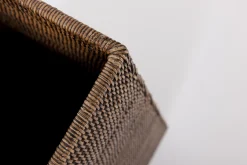 Flamant Togo, Paraplubak, Riet