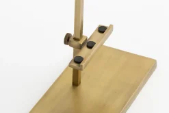 Flamant Verdu, Schildersezel, L