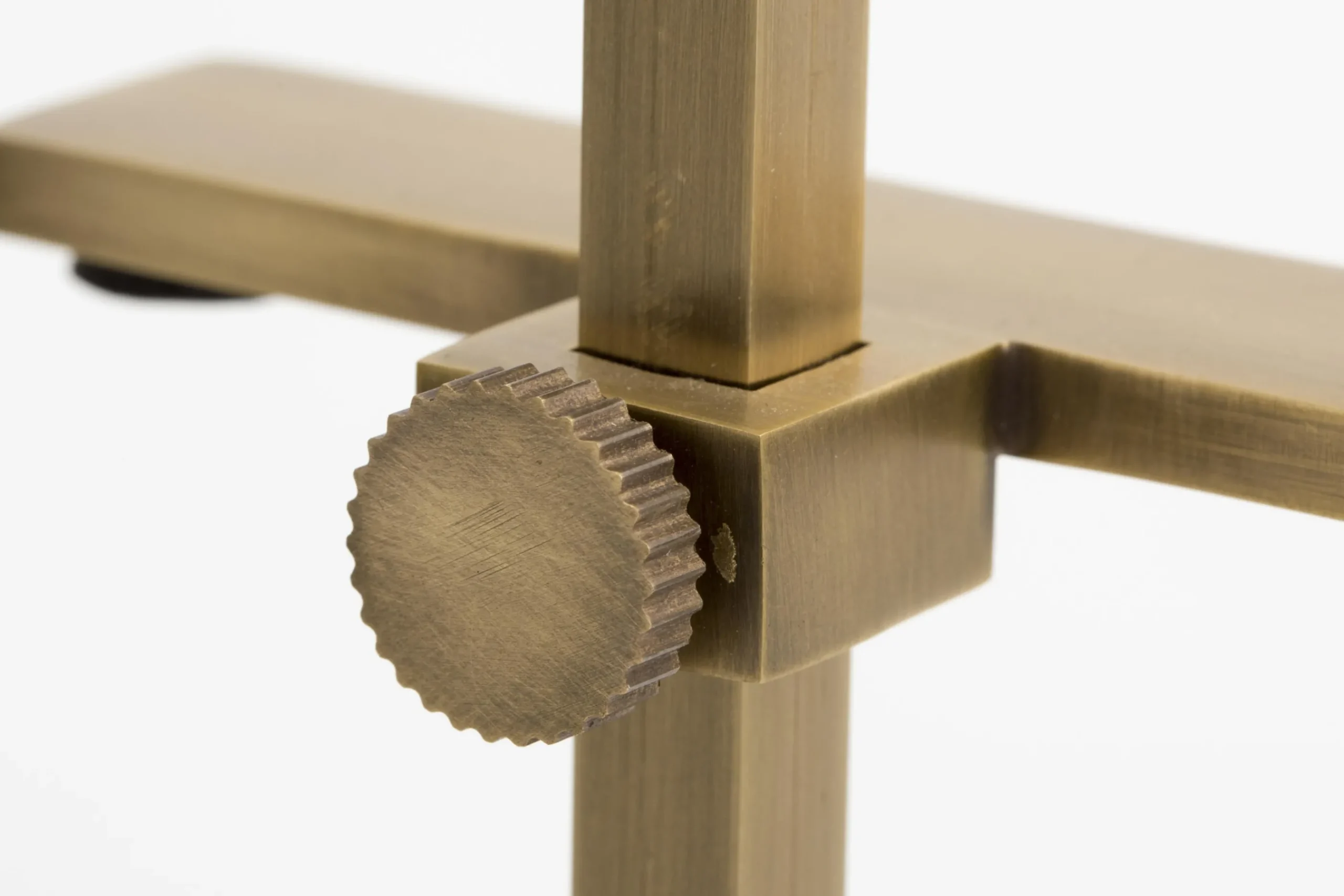 Flamant Verdu, Schildersezel, L