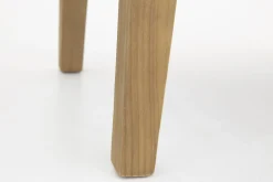 Flamant Washington, Voetenbank, Fix